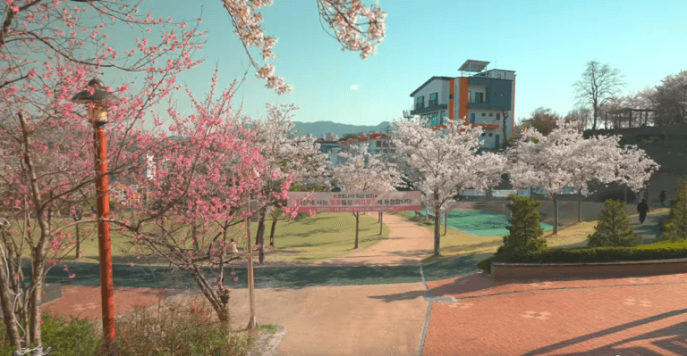 Explorez les merveilles cachées de Gangwon-do : un paradis naturel à découvrir!