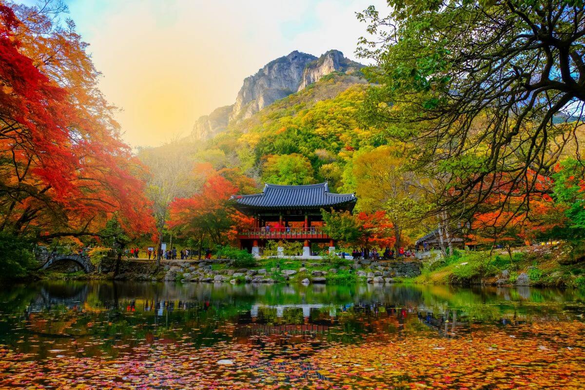 Busan automne 