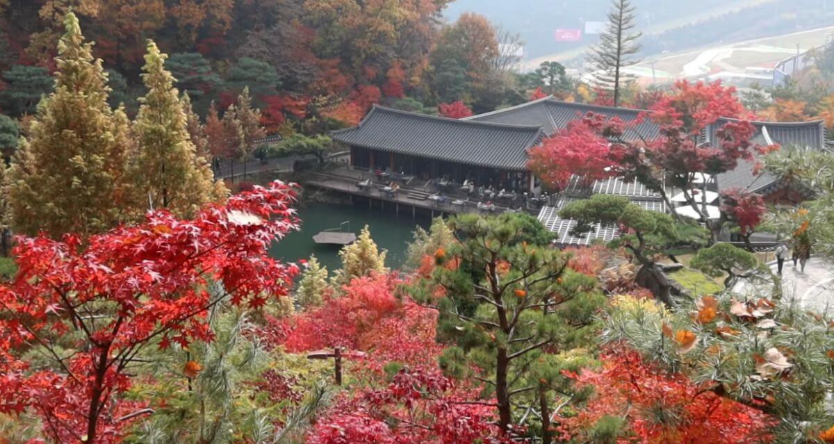 Corée en automne